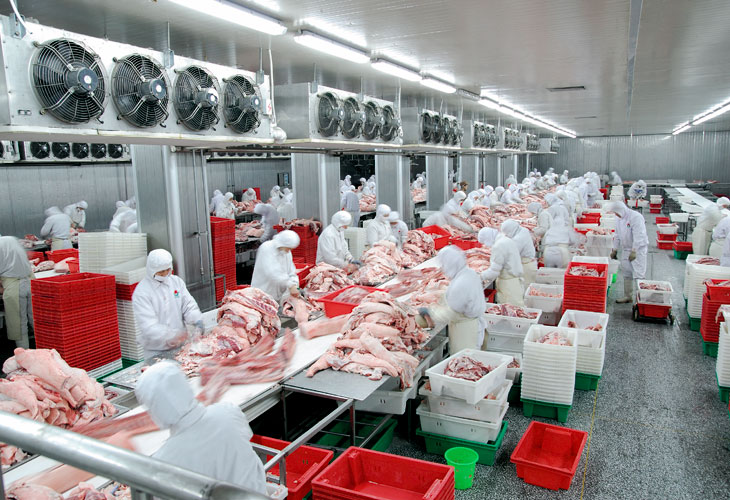 2024新澳门免费原料网