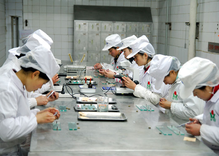 2024新澳门免费原料网