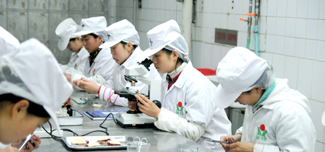 2024新澳门免费原料网